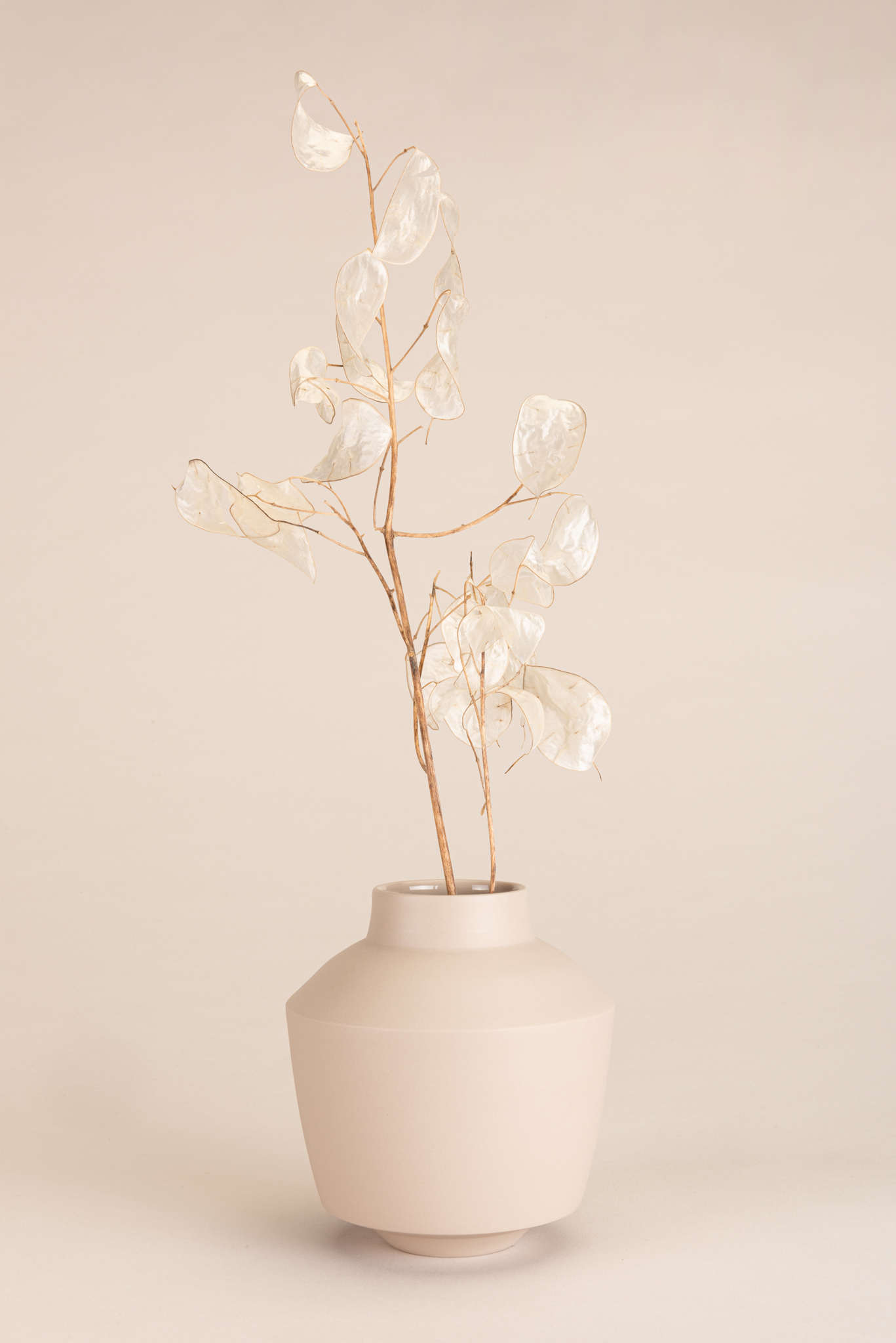 vase – boomer