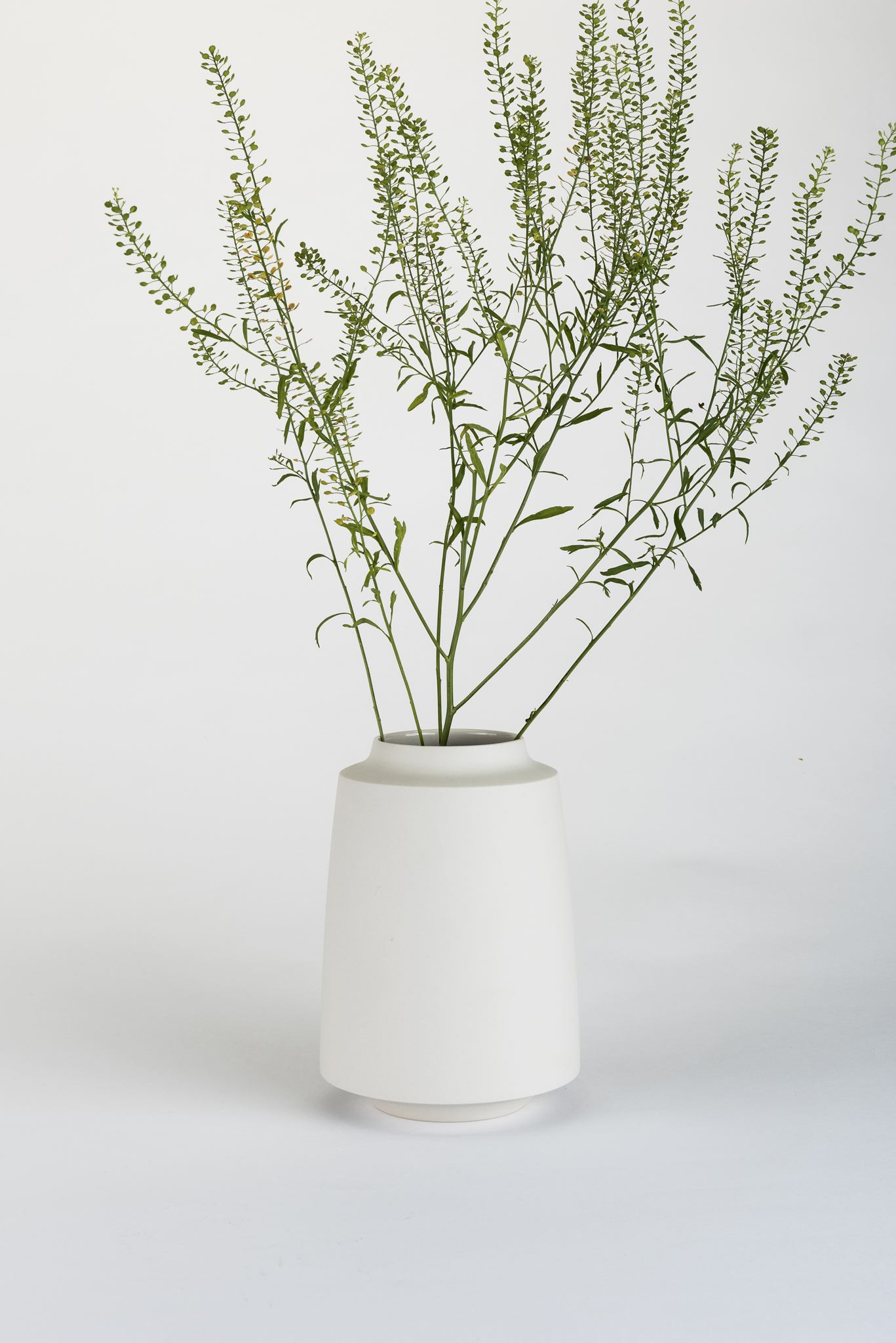 vase – butch